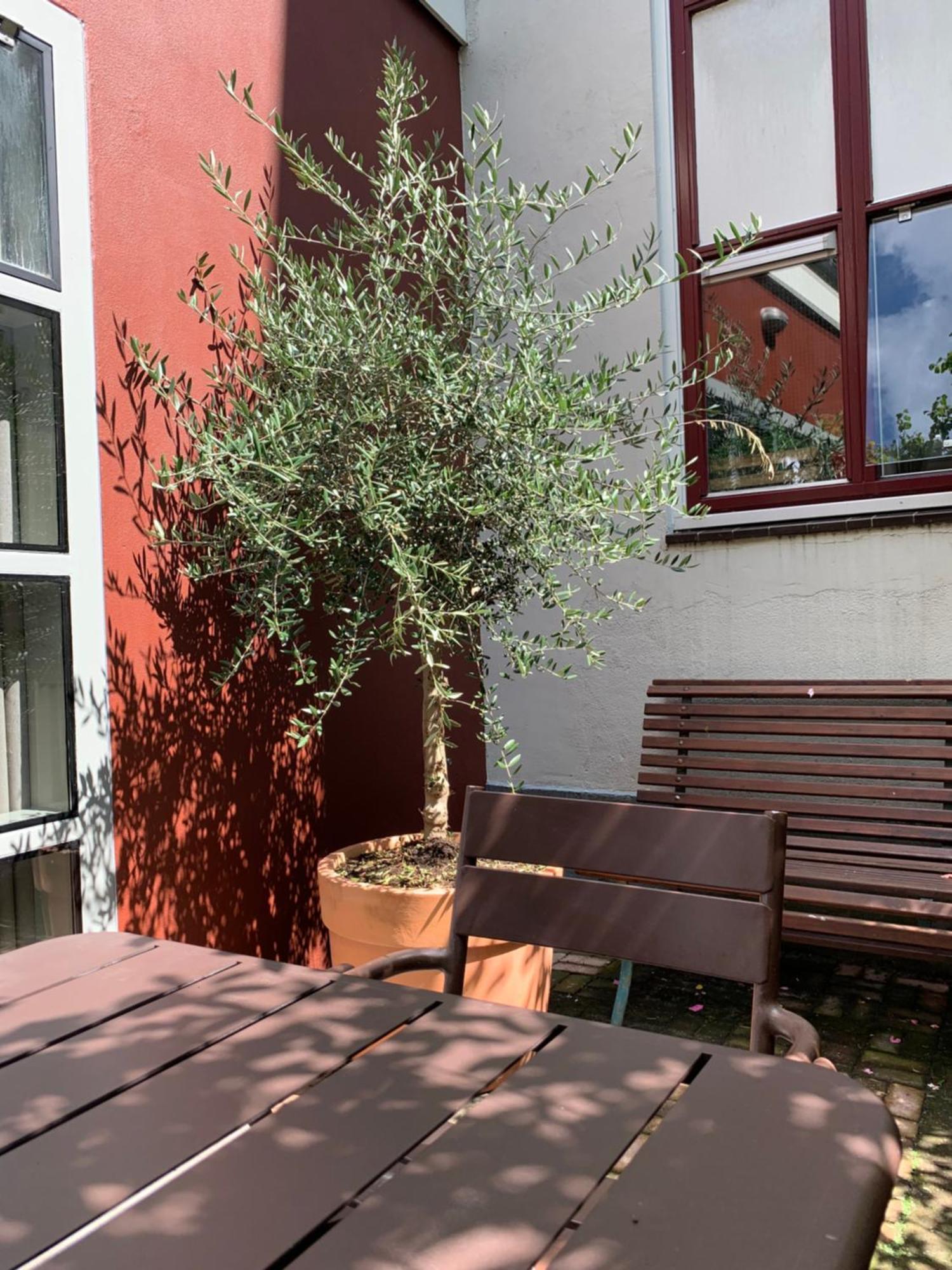 Zocher6 Bnb A Monumental Town House In The City Center Утрехт Екстер'єр фото